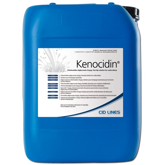 KENOCIDIN Dippmittel (Chlorexidin)  20 L